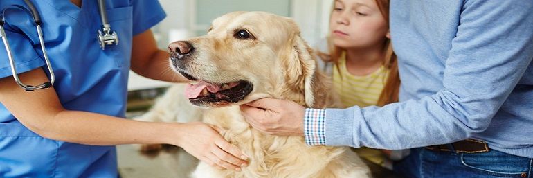 Санкт-Петербургское ветеринарное общество